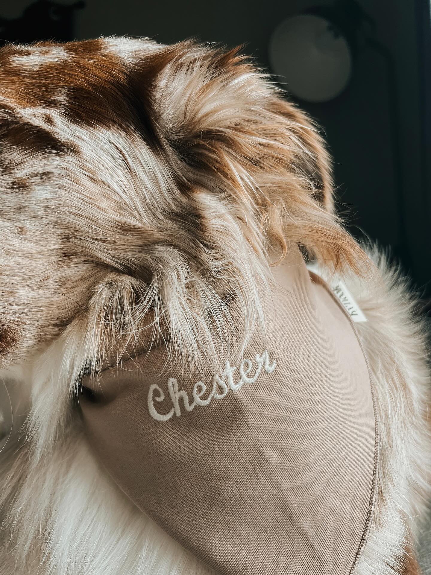 Kynook Customizable Dog Scarf - Hemp