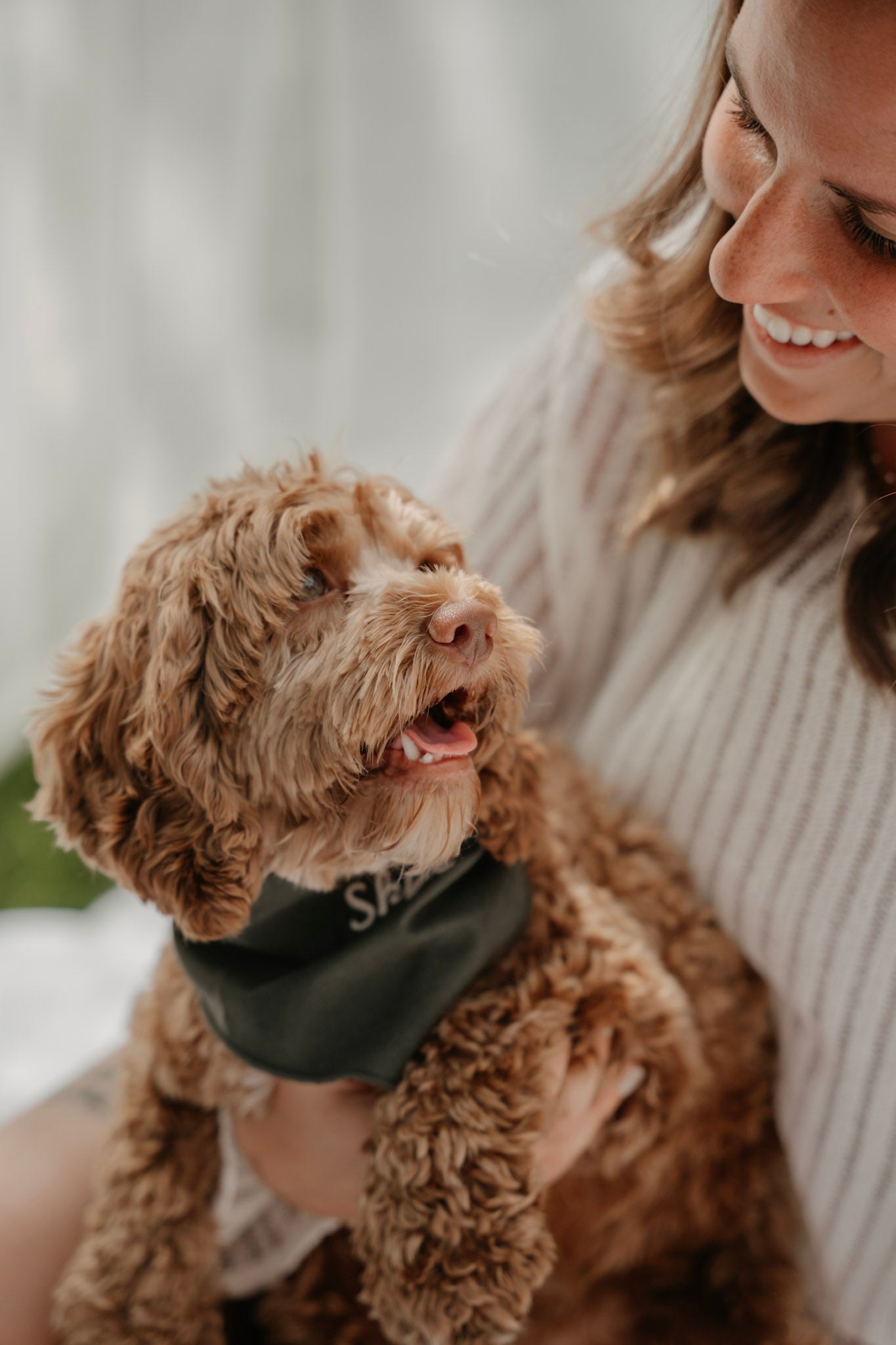 Kynook Customizable Dog Scarf - Forest green