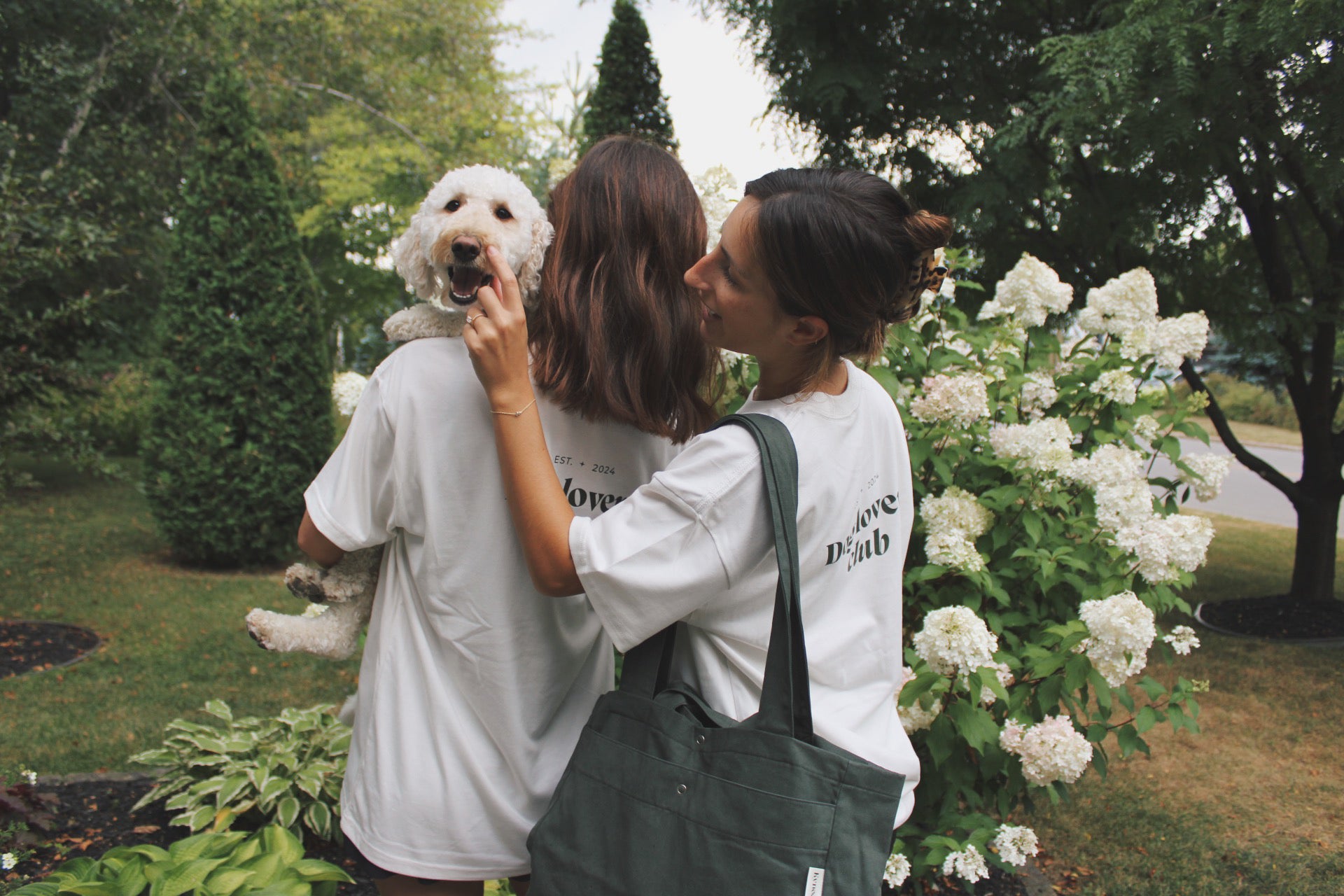 HomePageDogLoversClub