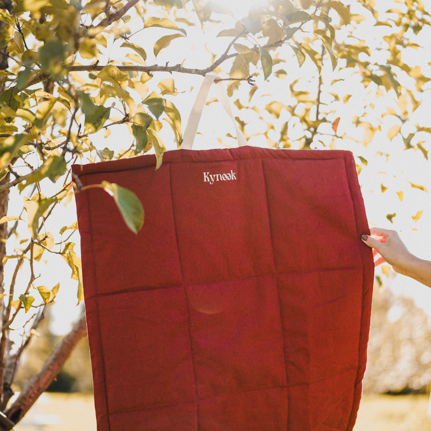 Customizable Dog Travel Mat - Terracotta