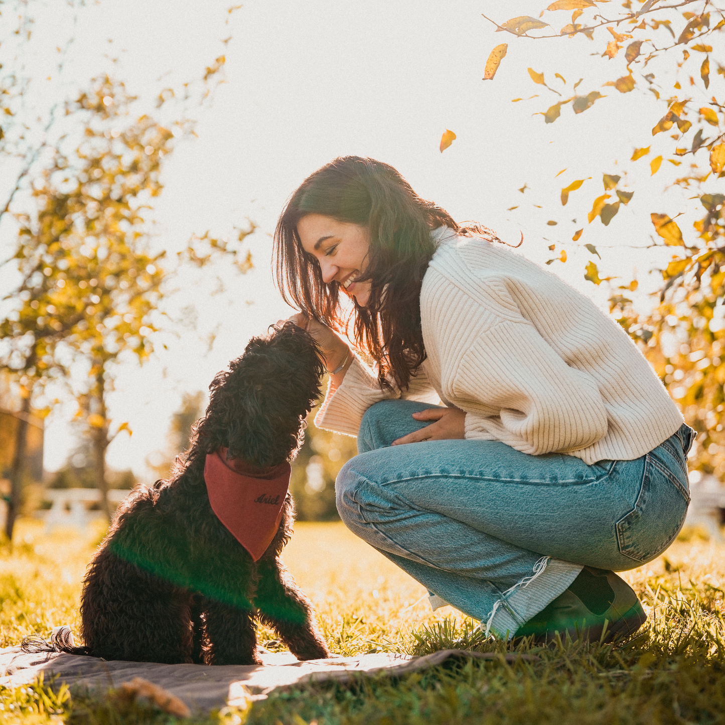 Kynook Customizable Dog Scarf - Terracotta