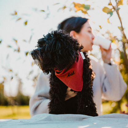 Kynook Customizable Dog Scarf - Terracotta