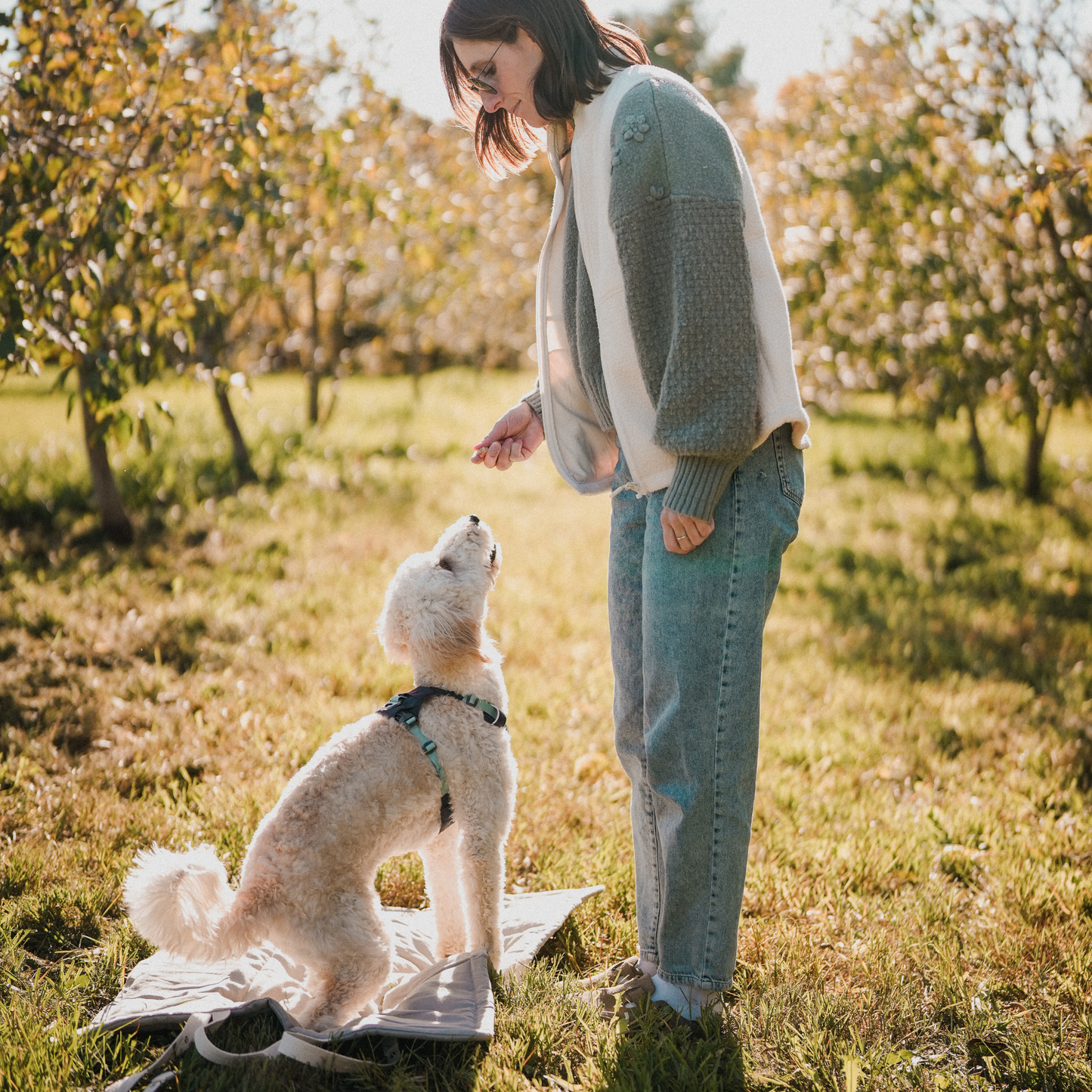 Tapis de voyage pour chien personnalisable - Lin