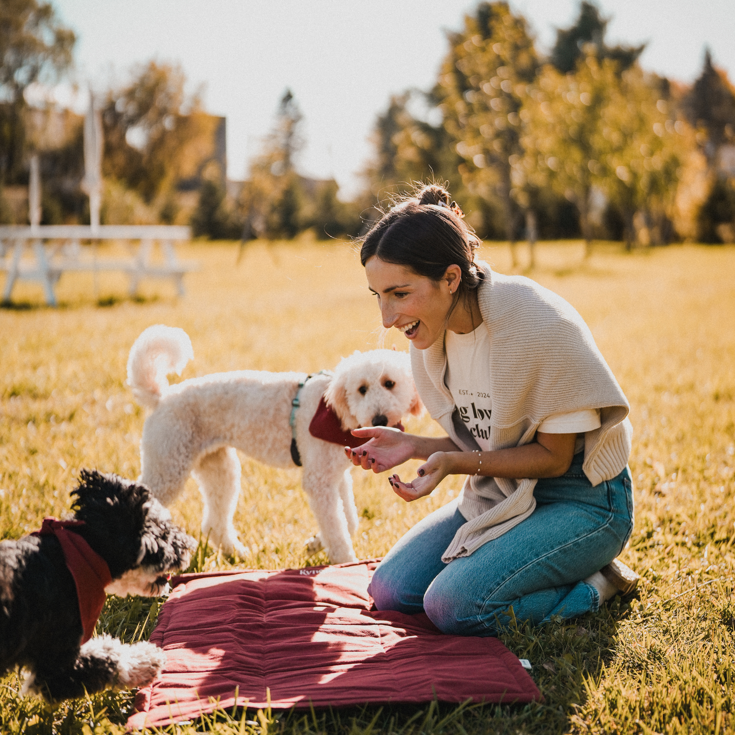 Customizable Dog Travel Mat - Terracotta