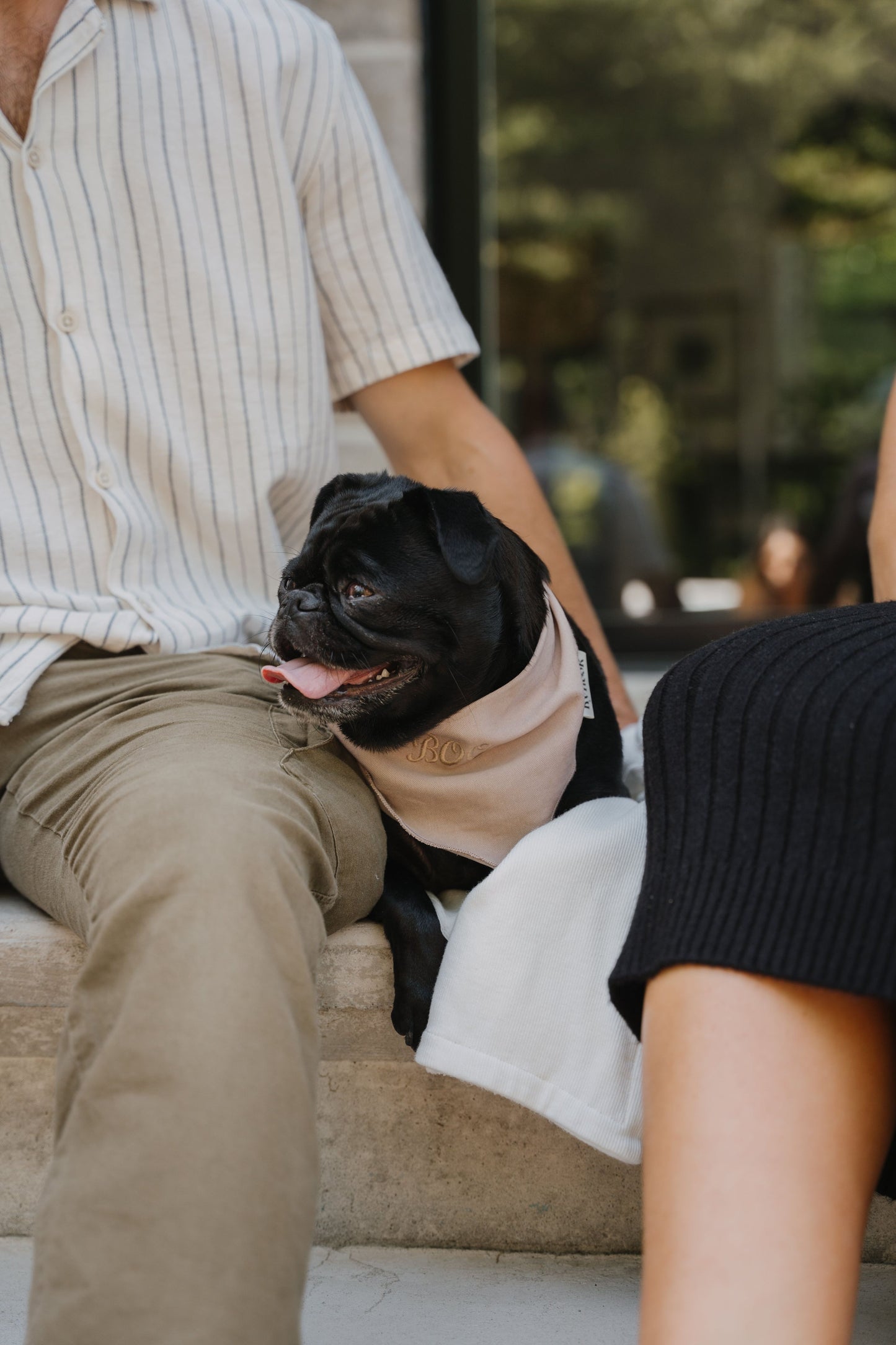 Foulard pour chien personnalisé Kynook - Chanvre