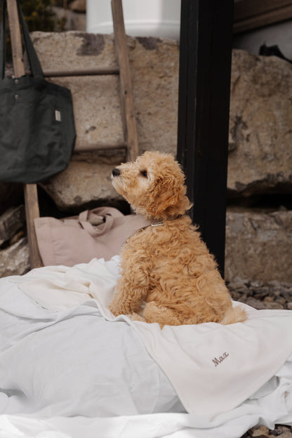 Couverture pour chien personnalisée Kynook - Côtelée