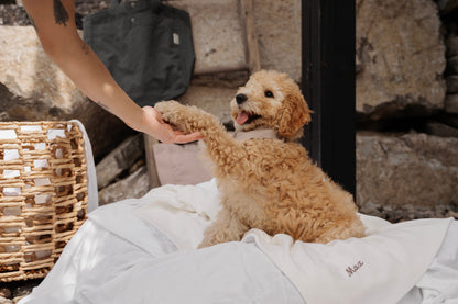 Couverture pour chien personnalisée Kynook - Côtelée